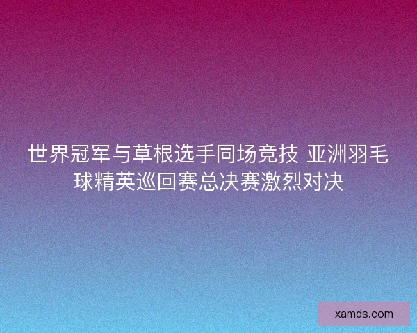 世界冠军与草根选手同场竞技 亚洲羽毛球精英巡回赛总决赛激烈对决